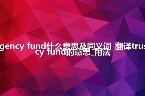 trust-and-agency fund什么意思及同义词_翻译trust-and-agency fund的意思_用法