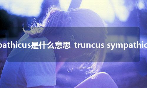 truncus sympathicus是什么意思_truncus sympathicus的意思_用法