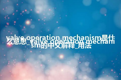 valve operation mechanism是什么意思_valve operation mechanism的中文解释_用法