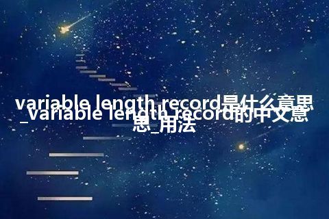 variable length record是什么意思_variable length record的中文意思_用法