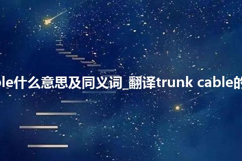 trunk cable什么意思及同义词_翻译trunk cable的意思_用法