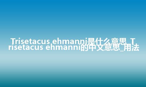 Trisetacus ehmanni是什么意思_Trisetacus ehmanni的中文意思_用法