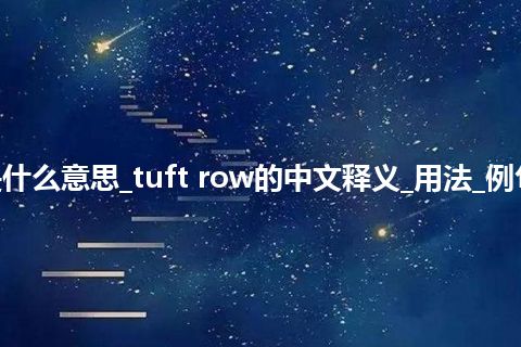 tuft row是什么意思_tuft row的中文释义_用法_例句_英语短语
