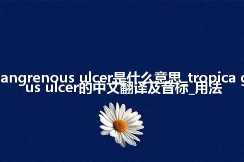 tropica gangrenous ulcer是什么意思_tropica gangrenous ulcer的中文翻译及音标_用法