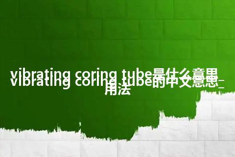 vibrating coring tube是什么意思_vibrating coring tube的中文意思_用法