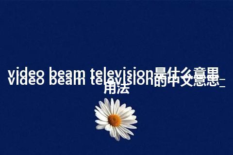 video beam television是什么意思_video beam television的中文意思_用法