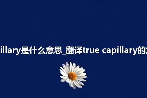true capillary是什么意思_翻译true capillary的意思_用法