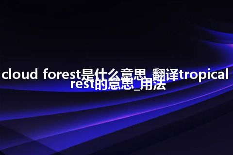 tropical cloud forest是什么意思_翻译tropical cloud forest的意思_用法