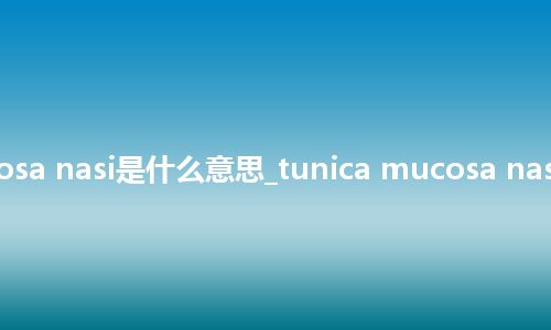 tunica mucosa nasi是什么意思_tunica mucosa nasi的意思_用法