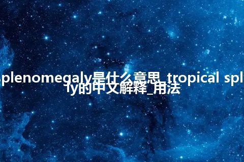 tropical splenomegaly是什么意思_tropical splenomegaly的中文解释_用法