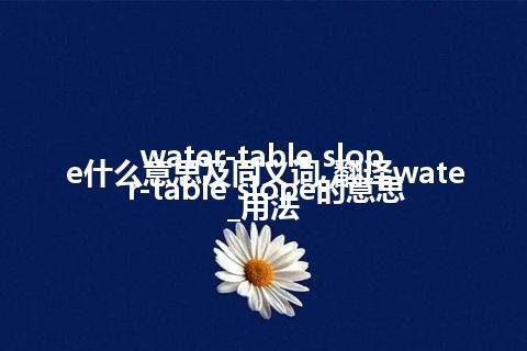 water-table slope什么意思及同义词_翻译water-table slope的意思_用法