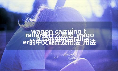 wagon carrying trailer是什么意思_wagon carrying trailer的中文翻译及用法_用法