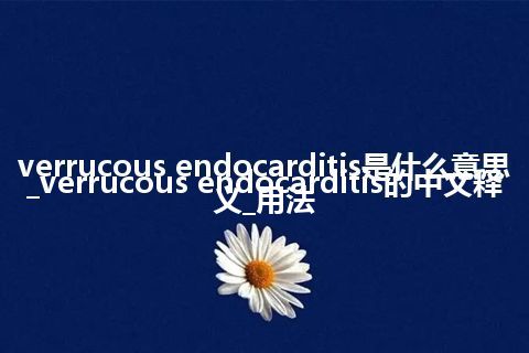 verrucous endocarditis是什么意思_verrucous endocarditis的中文释义_用法