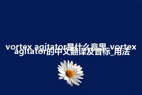 vortex agitator是什么意思_vortex agitator的中文翻译及音标_用法
