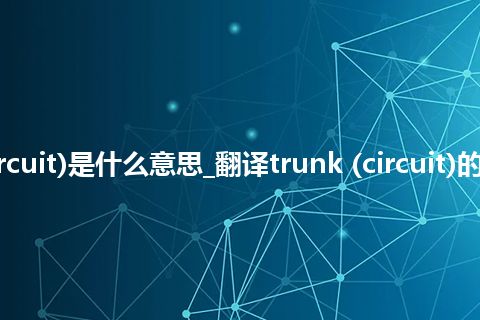 trunk (circuit)是什么意思_翻译trunk (circuit)的意思_用法