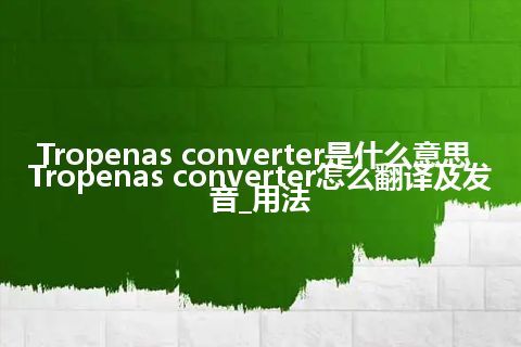 Tropenas converter是什么意思_Tropenas converter怎么翻译及发音_用法