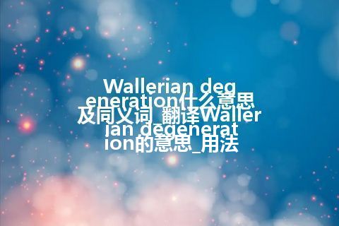 Wallerian degeneration什么意思及同义词_翻译Wallerian degeneration的意思_用法