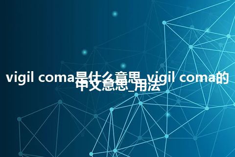 vigil coma是什么意思_vigil coma的中文意思_用法