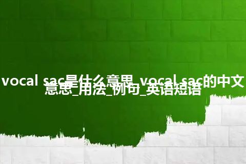 vocal sac是什么意思_vocal sac的中文意思_用法_例句_英语短语