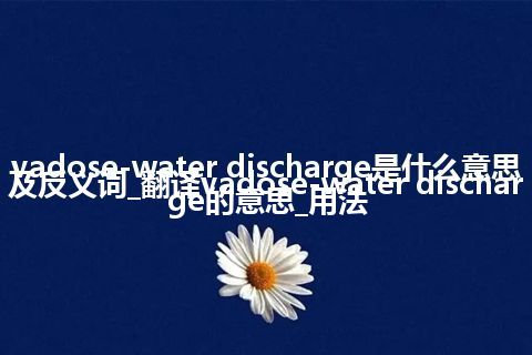 vadose-water discharge是什么意思及反义词_翻译vadose-water discharge的意思_用法