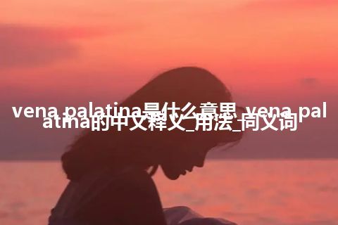 vena palatina是什么意思_vena palatina的中文释义_用法_同义词
