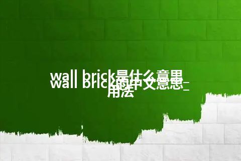 wall brick是什么意思_wall brick的中文意思_用法
