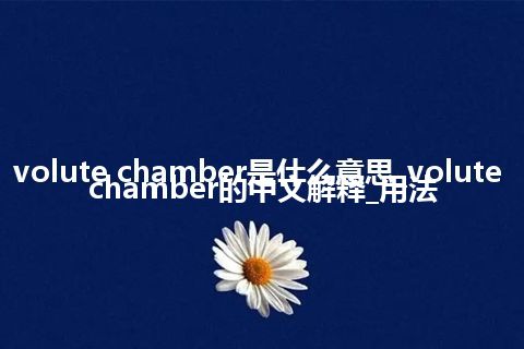 volute chamber是什么意思_volute chamber的中文解释_用法