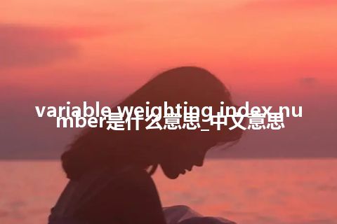 variable weighting index number是什么意思_中文意思