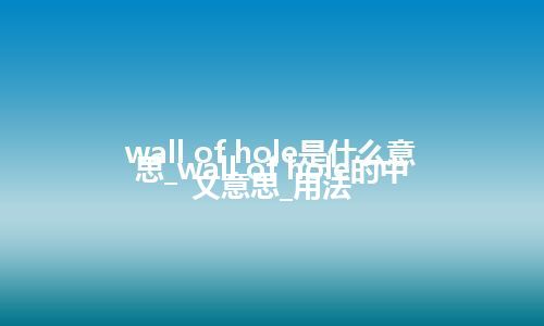 wall of hole是什么意思_wall of hole的中文意思_用法
