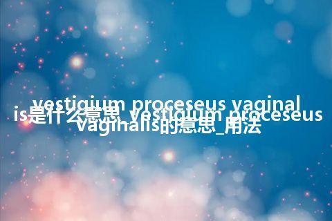 vestigium proceseus vaginalis是什么意思_vestigium proceseus vaginalis的意思_用法