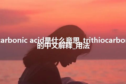 trithiocarbonic acid是什么意思_trithiocarbonic acid的中文解释_用法