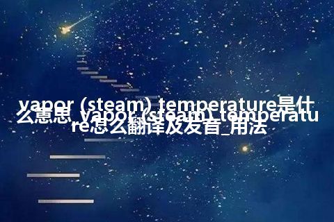 vapor (steam) temperature是什么意思_vapor (steam) temperature怎么翻译及发音_用法