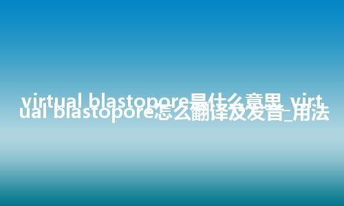 virtual blastopore是什么意思_virtual blastopore怎么翻译及发音_用法