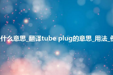 tube plug是什么意思_翻译tube plug的意思_用法_例句_英语短语