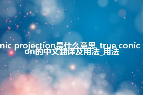 true conic projection是什么意思_true conic projection的中文翻译及用法_用法