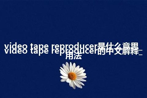video tape reproducer是什么意思_video tape reproducer的中文解释_用法
