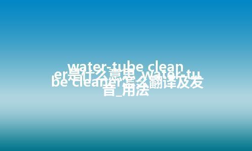 water-tube cleaner是什么意思_water-tube cleaner怎么翻译及发音_用法