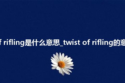 twist of rifling是什么意思_twist of rifling的意思_用法
