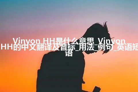 Vinyon HH是什么意思_Vinyon HH的中文翻译及音标_用法_例句_英语短语