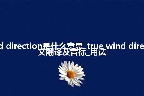 true wind direction是什么意思_true wind direction的中文翻译及音标_用法