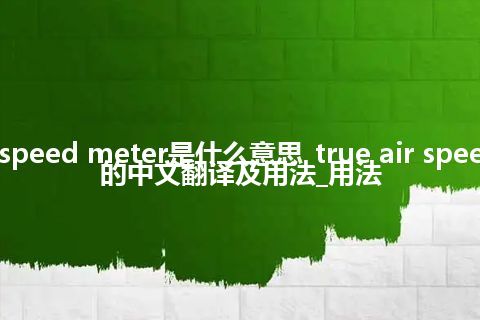 true air speed meter是什么意思_true air speed meter的中文翻译及用法_用法