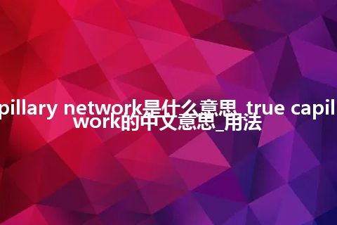true capillary network是什么意思_true capillary network的中文意思_用法