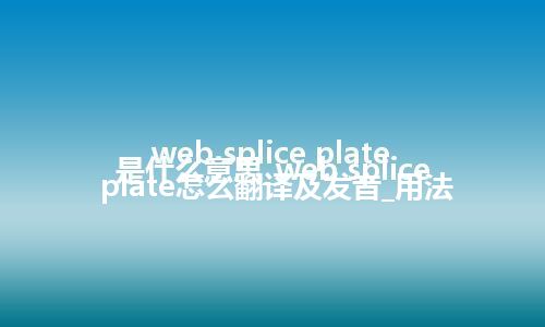 web splice plate是什么意思_web splice plate怎么翻译及发音_用法