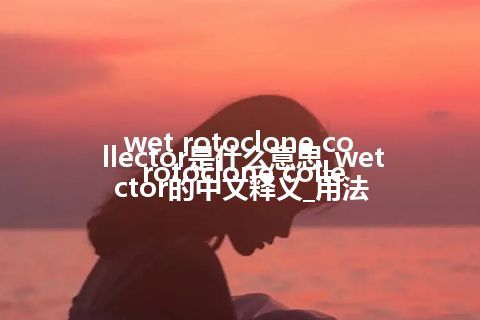 wet rotoclone collector是什么意思_wet rotoclone collector的中文释义_用法