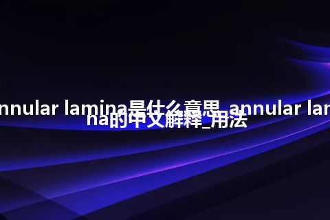 annular lamina是什么意思_annular lamina的中文解释_用法