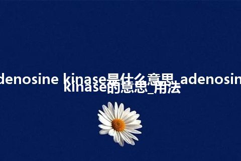 adenosine kinase是什么意思_adenosine kinase的意思_用法