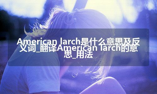 American larch是什么意思及反义词_翻译American larch的意思_用法