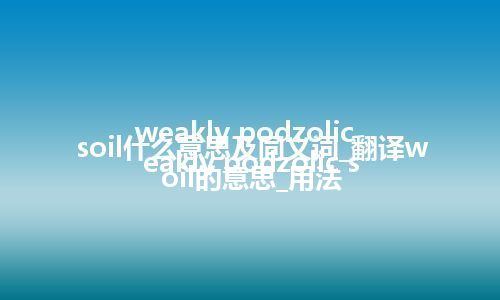 weakly podzolic soil什么意思及同义词_翻译weakly podzolic soil的意思_用法