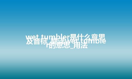 wet tumbler是什么意思及音标_翻译wet tumbler的意思_用法
