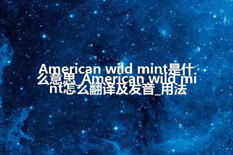 American wild mint是什么意思_American wild mint怎么翻译及发音_用法
